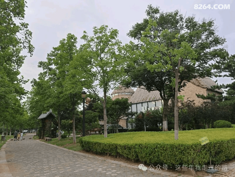 1409481p4rpc4q93ki42i8 - 旅行杂谈 文化历史 民俗人文 交通贴士 在野 去没有天花板的地方
