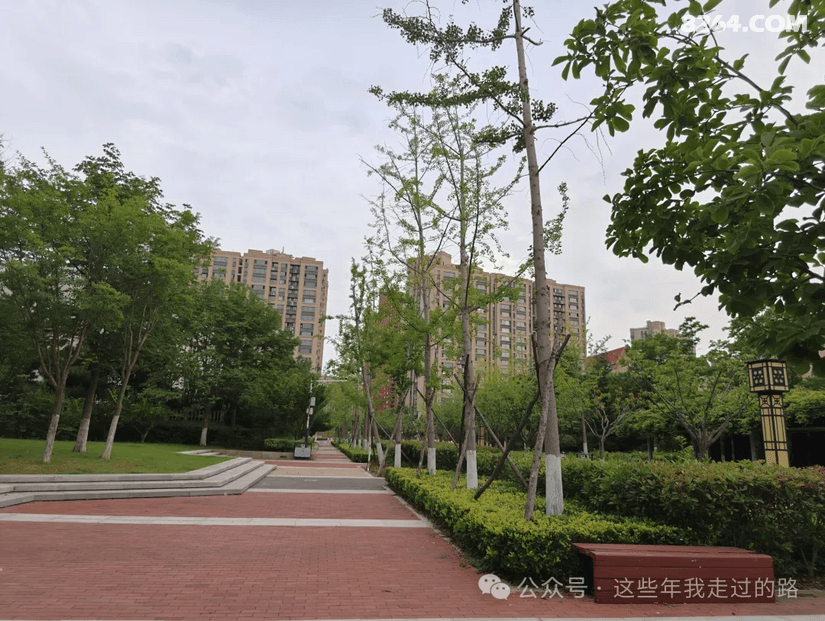 1409591qv2o89py1lct4xe - 旅行杂谈 文化历史 民俗人文 交通贴士 在野 去没有天花板的地方