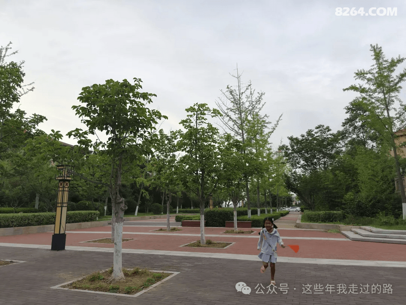 141001yngdo35fqgd9fbgq - 旅行杂谈 文化历史 民俗人文 交通贴士 在野 去没有天花板的地方