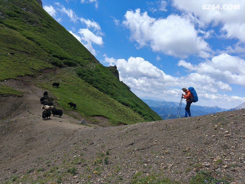 1143376aa378e93d328696 - 徒步登山 穿越攀岩 雪山步道 户外路线 在野 去没有天花板的地方