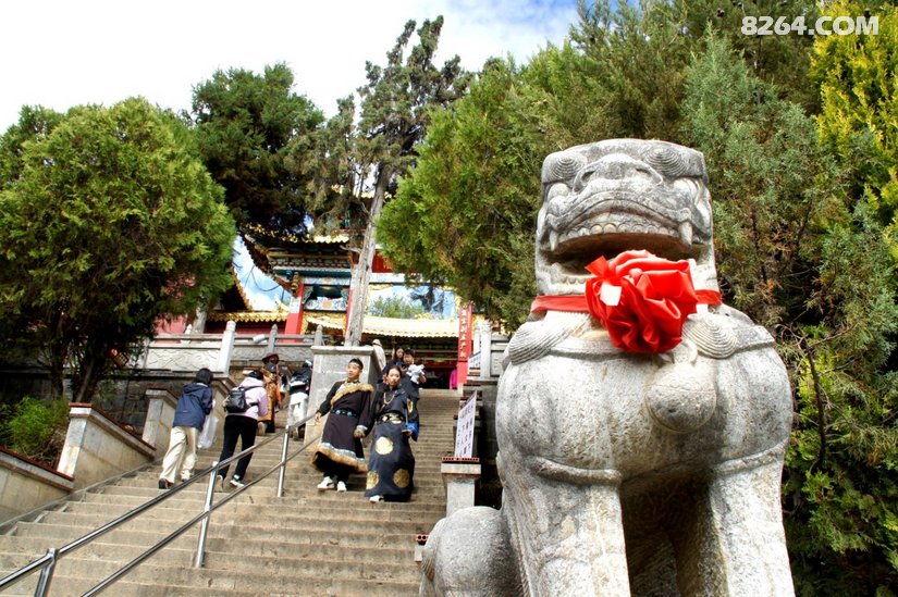 095032dwfvzslz46m2cu67 - 旅行杂谈 文化历史 民俗人文 交通贴士 在野 去没有天花板的地方