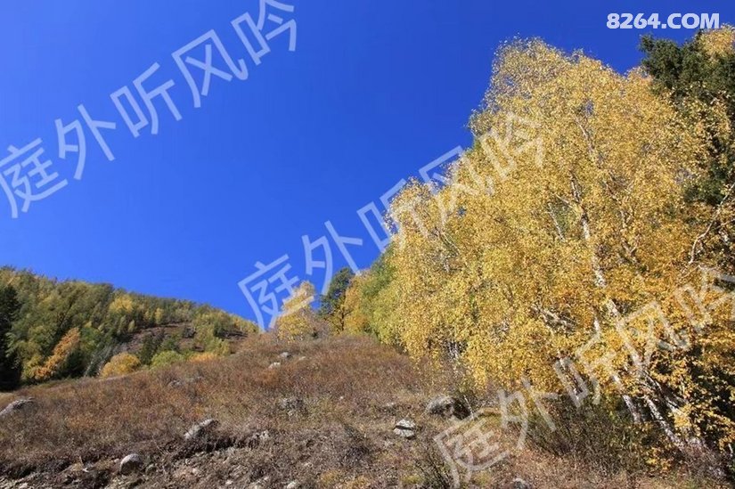 072228h1q4436kclkyl2sf - 旅行杂谈 文化历史 民俗人文 交通贴士 在野 去没有天花板的地方