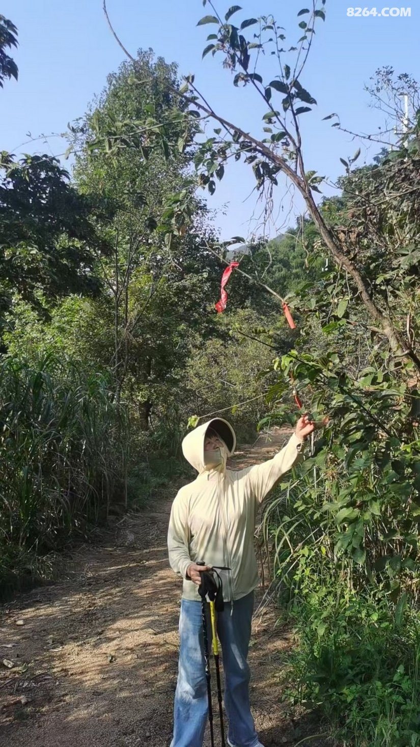 111755h9n3pxhvxwe68d6n - 徒步登山 穿越攀岩 雪山步道 户外路线 在野 去没有天花板的地方