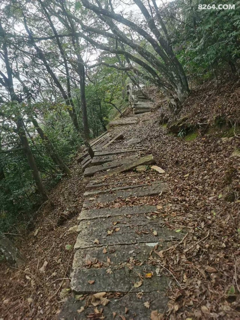 120016ttzusrqwm7f15b52 - 徒步登山 穿越攀岩 雪山步道 户外路线 在野 去没有天花板的地方