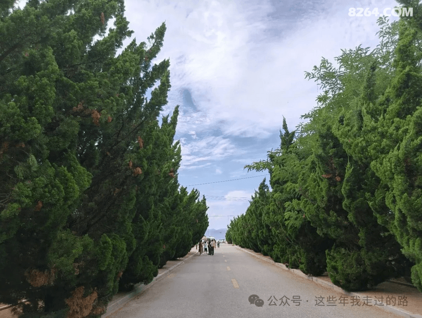 133128e8odsm5w8wzq6gz5 - 旅行杂谈 文化历史 民俗人文 交通贴士 在野 去没有天花板的地方