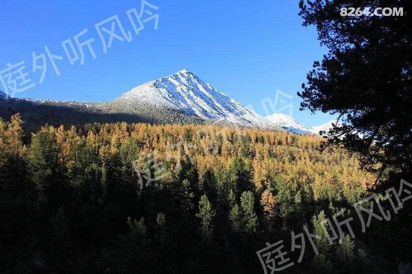 011930pypi1vh3twq5fg4q - 旅行杂谈 文化历史 民俗人文 交通贴士 在野 去没有天花板的地方