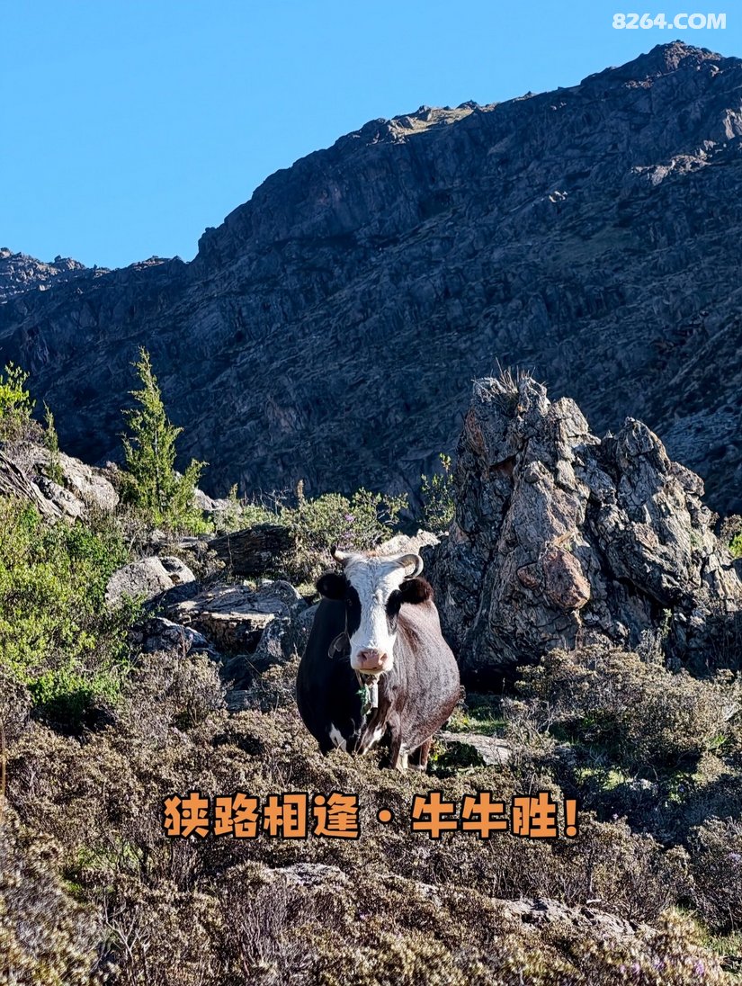 173806hax5k4de11ubdep6 - 旅行杂谈 文化历史 民俗人文 交通贴士 在野 去没有天花板的地方