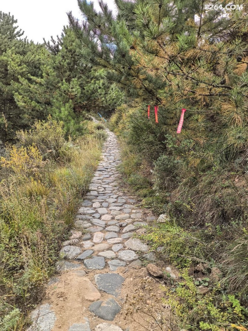 06362022gsi2rdvdgmxoiu - 徒步登山 穿越攀岩 雪山步道 户外路线 在野 去没有天花板的地方