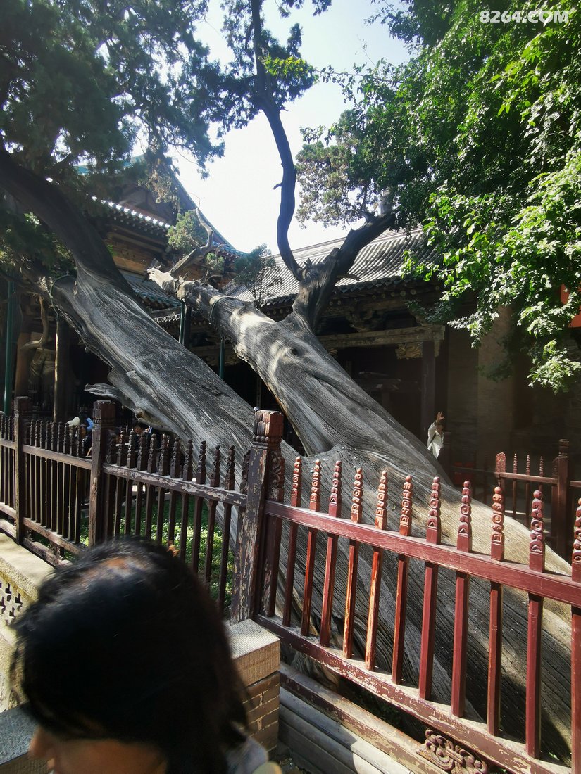 130545kck0ps1y5pgi1e7f - 旅行杂谈 文化历史 民俗人文 交通贴士 在野 去没有天花板的地方
