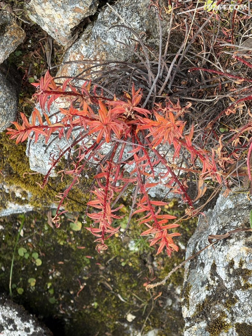 2315546accf9aa9b485909 - 目的地推荐 小众冷门 古镇海岛 草原沙漠 在野 去没有天花板的地方