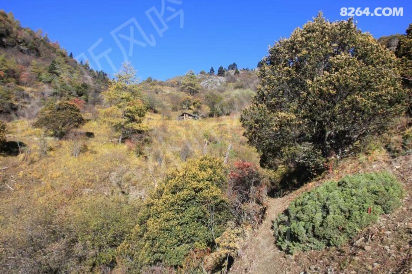 1140246lf54t7ctu6hcfl0 - 徒步登山 穿越攀岩 雪山步道 户外路线 在野 去没有天花板的地方