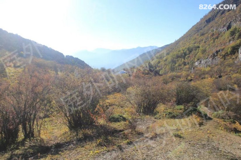 114025sz4qjedio4m25c7n - 徒步登山 穿越攀岩 雪山步道 户外路线 在野 去没有天花板的地方