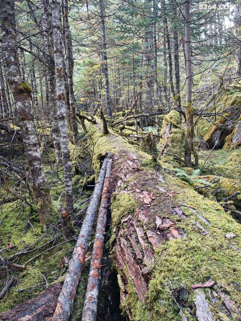 002750niiboqzftmogj9em - 旅行杂谈 文化历史 民俗人文 交通贴士 在野 去没有天花板的地方