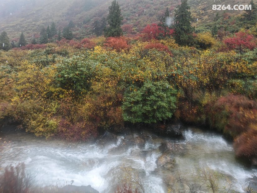 015757h1qr5o5bsdfasahy - 旅行杂谈 文化历史 民俗人文 交通贴士 在野 去没有天花板的地方
