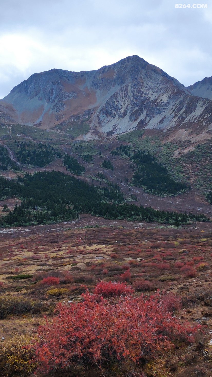 0953206ae15590db534706 - 徒步登山 穿越攀岩 雪山步道 户外路线 在野 去没有天花板的地方