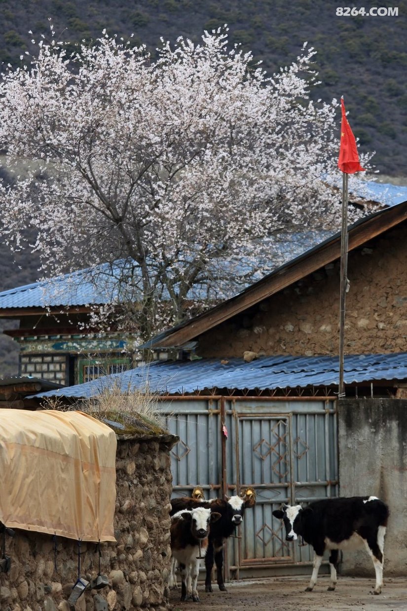 1526239r5p7p5rihhp68th - 旅行杂谈 文化历史 民俗人文 交通贴士 在野 去没有天花板的地方