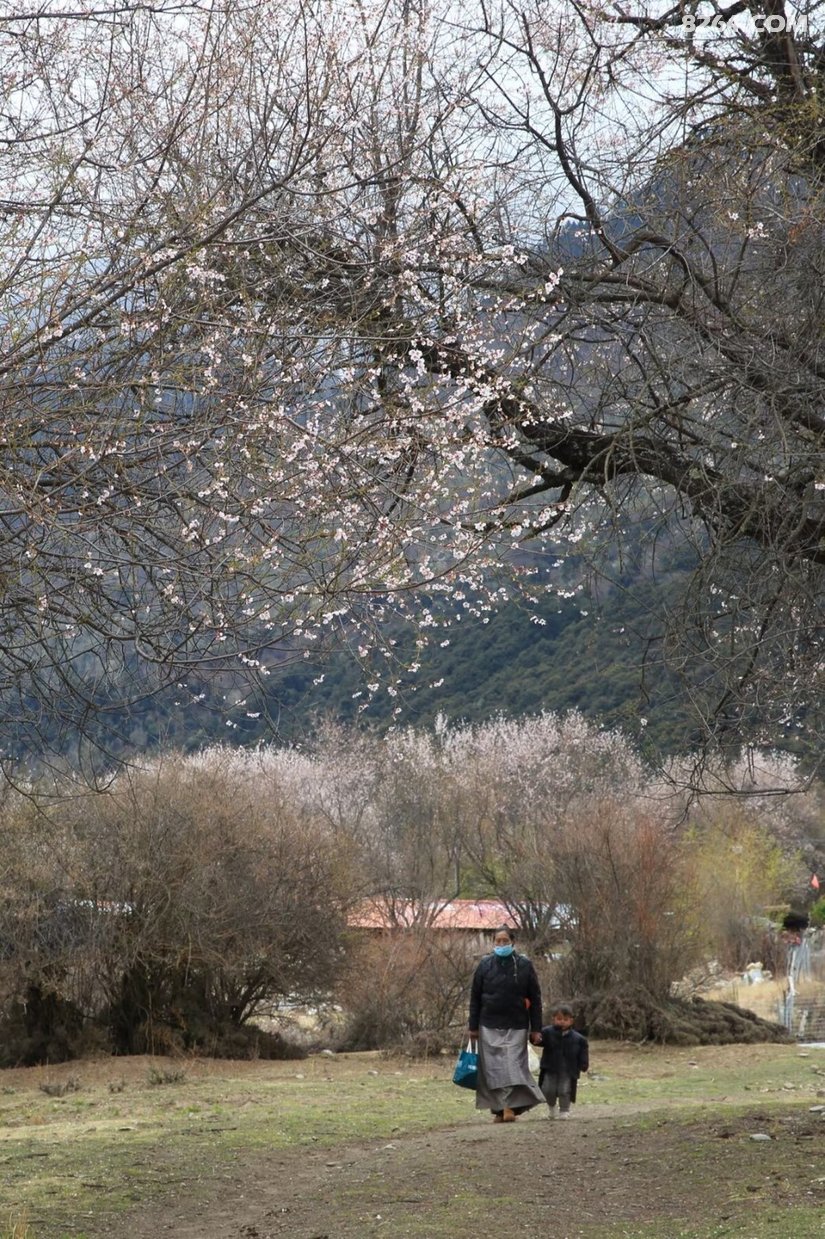 154623ey4m5tx3dsehtxg9 - 旅行杂谈 文化历史 民俗人文 交通贴士 在野 去没有天花板的地方