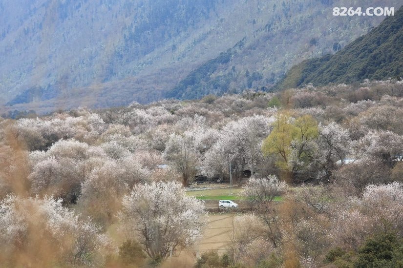 154645y5vw2tw16jtl5acv - 旅行杂谈 文化历史 民俗人文 交通贴士 在野 去没有天花板的地方