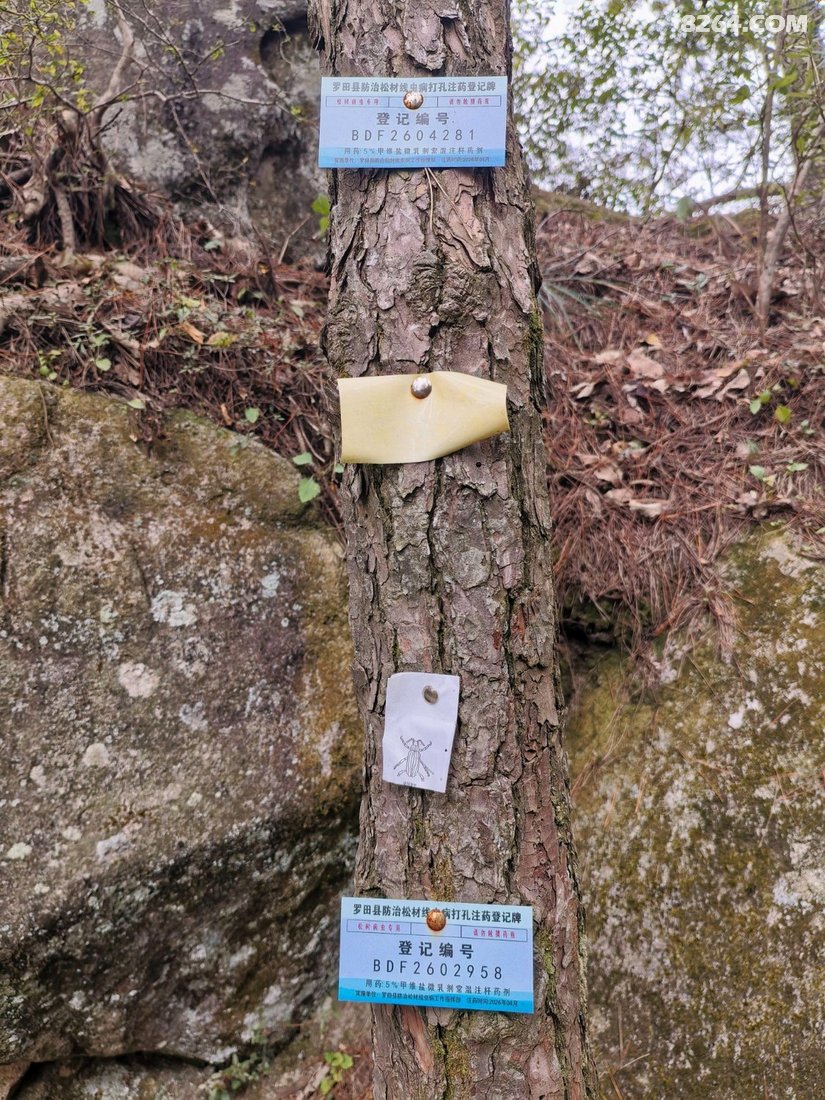 053021oezmsgy1xyawy16m - 旅行杂谈 文化历史 民俗人文 交通贴士 在野 去没有天花板的地方