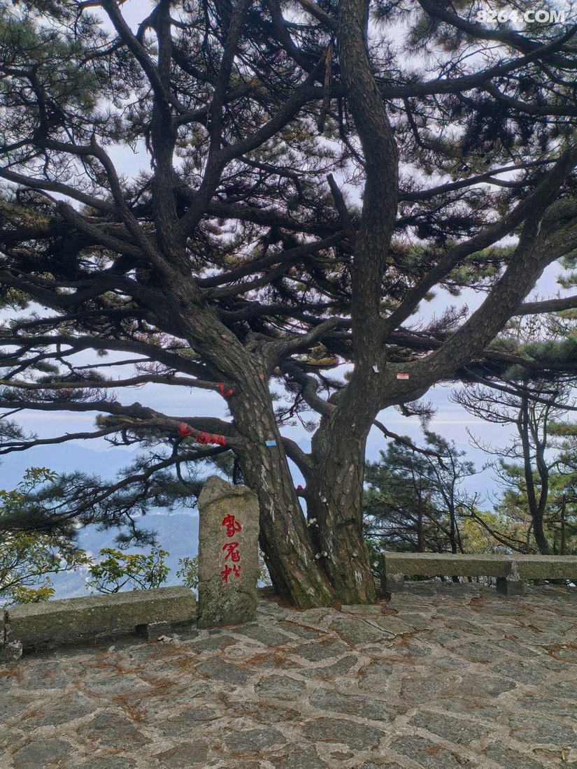 0559512gie8qx8bhbqovzc - 旅行杂谈 文化历史 民俗人文 交通贴士 在野 去没有天花板的地方