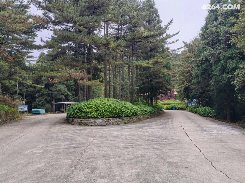 070539o52dk871ovpt9moi - 旅行杂谈 文化历史 民俗人文 交通贴士 在野 去没有天花板的地方