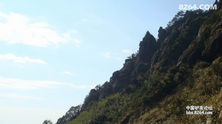 DSC08166.JPG