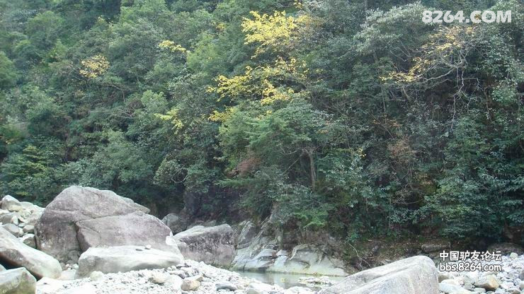 DSC08168.JPG