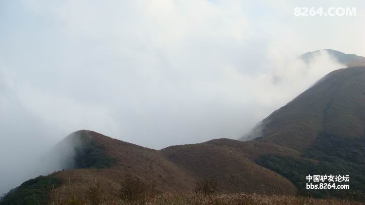 DSC08256.JPG