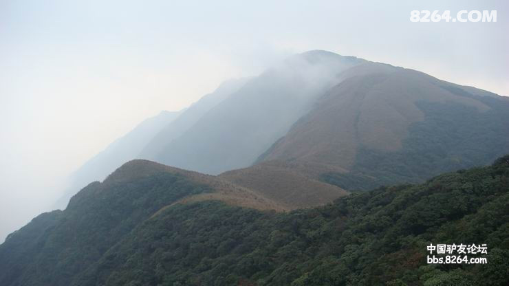 DSC08307.JPG