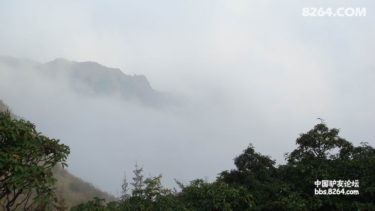DSC08260.JPG
