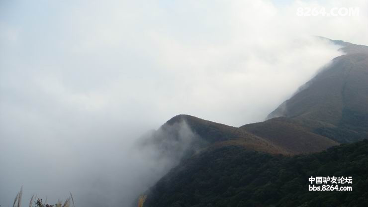 DSC08258.JPG