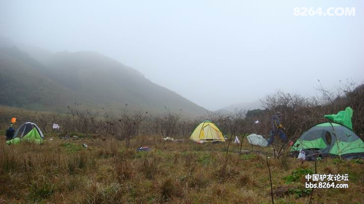 DSC08344.JPG