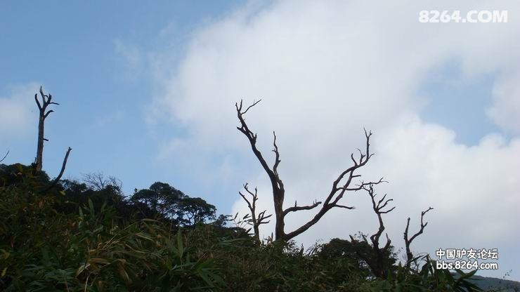 DSC08234.JPG