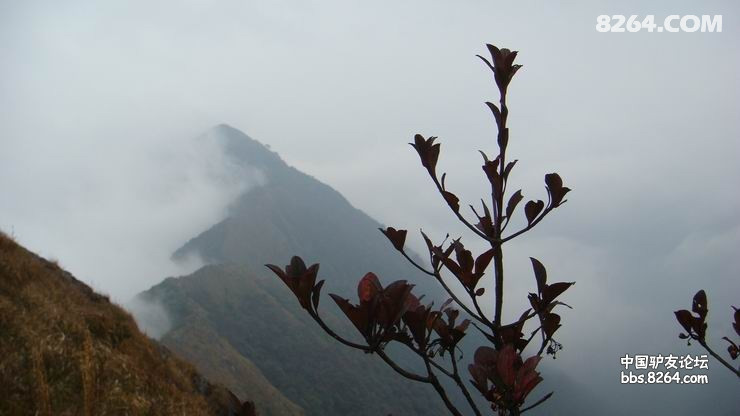 DSC08287.JPG