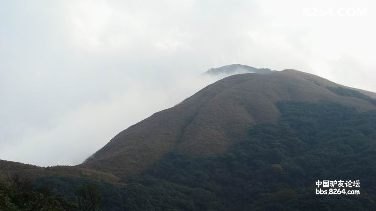DSC08251.JPG