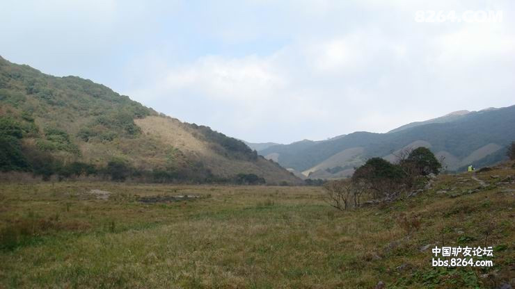 DSC08237.JPG