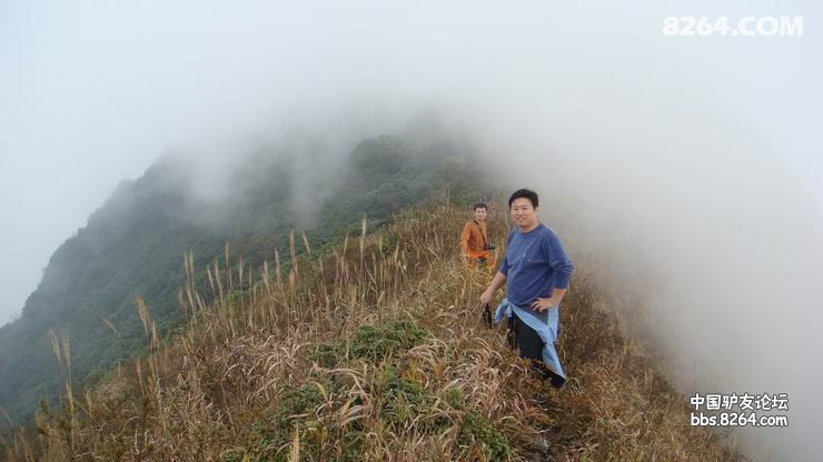 DSC08270.JPG