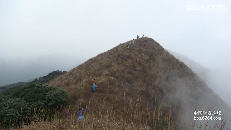 DSC08263.JPG