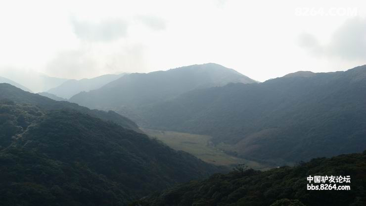 DSC08252.JPG