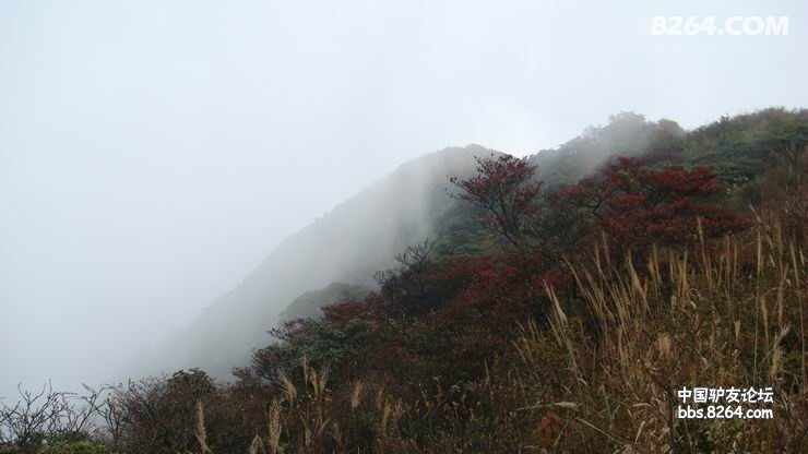 DSC08272.JPG