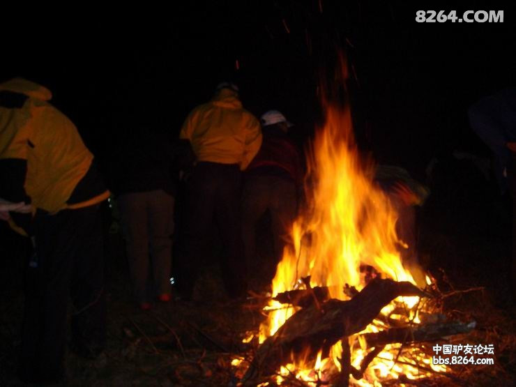DSC08328.JPG