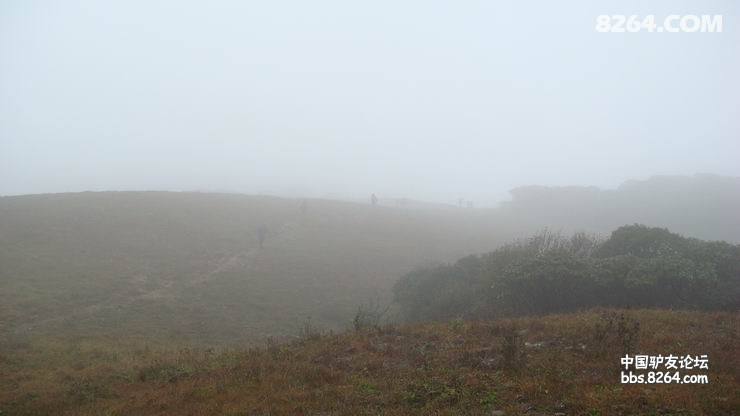DSC08347.JPG