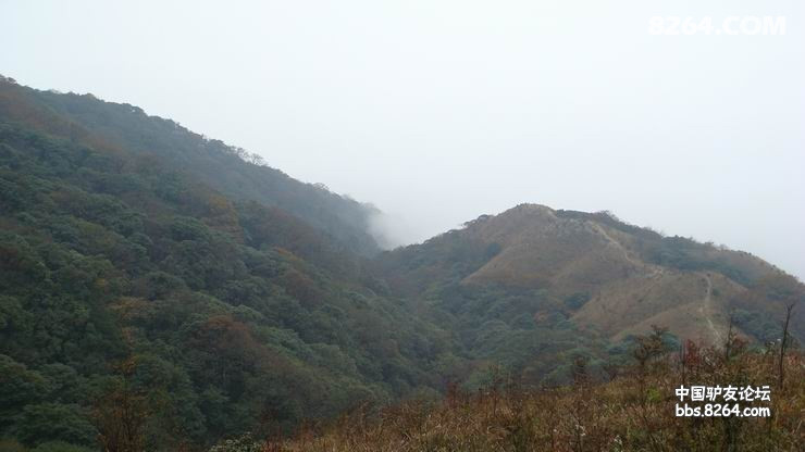DSC08353.JPG