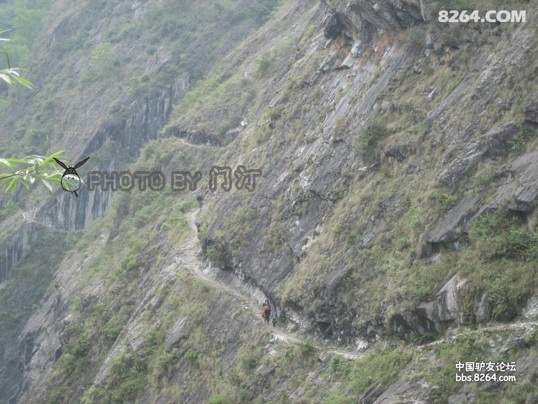 090829033664b8236ef786b94b - 徒步登山 穿越攀岩 雪山步道 户外路线 在野 去没有天花板的地方