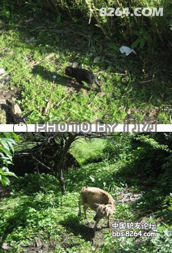 0908290354fc4c36606d559cb3 - 徒步登山 穿越攀岩 雪山步道 户外路线 在野 去没有天花板的地方