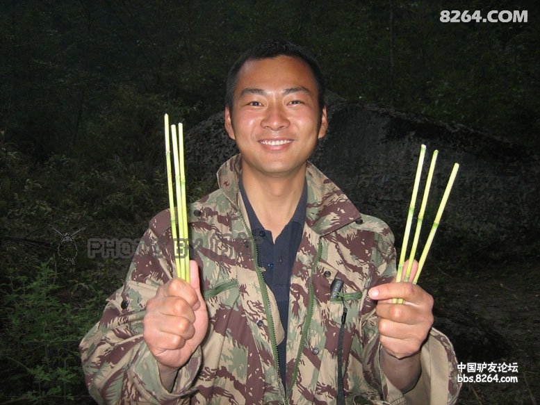 09083103127aee9a16c839e288 - 徒步登山 穿越攀岩 雪山步道 户外路线 在野 去没有天花板的地方