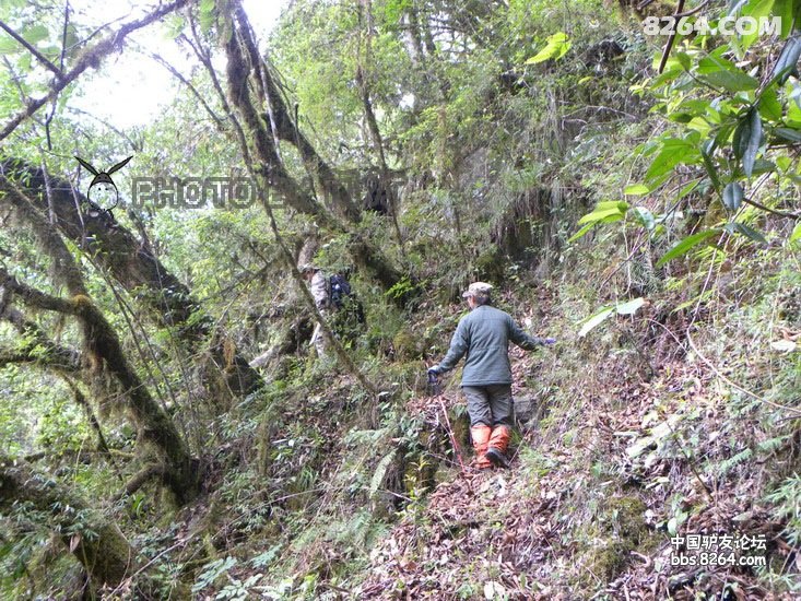 0909040013b07266c2b2e815c6 - 徒步登山 穿越攀岩 雪山步道 户外路线 在野 去没有天花板的地方
