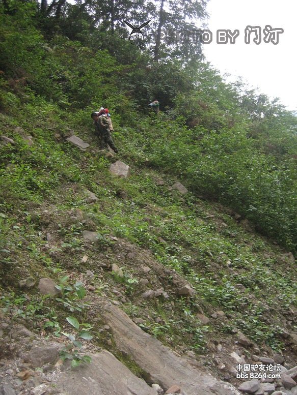 0909040017c8d470e7da6e5d24 - 徒步登山 穿越攀岩 雪山步道 户外路线 在野 去没有天花板的地方