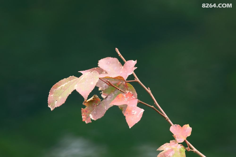 nEO_IMG_IMG_7459.jpg