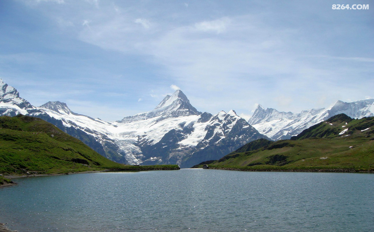 Bachalp����2.jpg